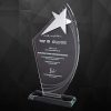 91166 Crystal Star Plaque