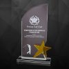 91227 Crystal Star Plaque